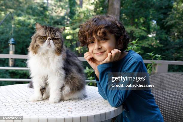 a boy and his cat - iranian people stock pictures, royalty-free photos & images