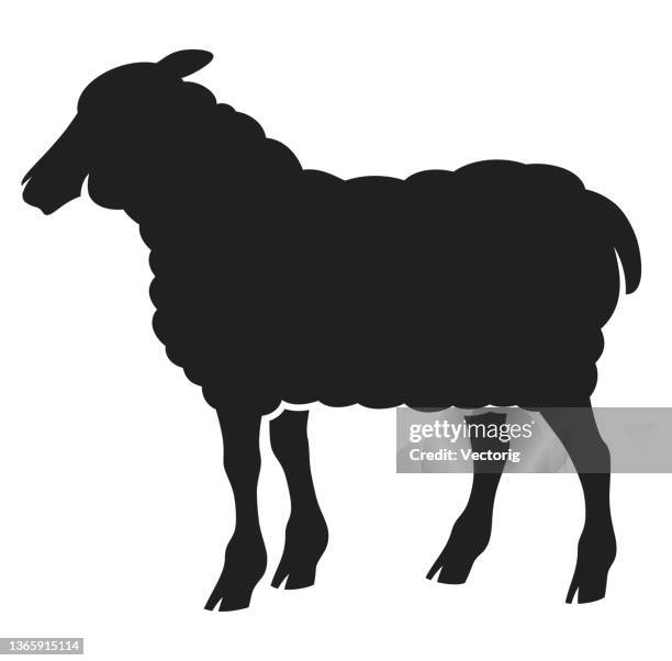 animals icon set - sheep isolated stock illustrations