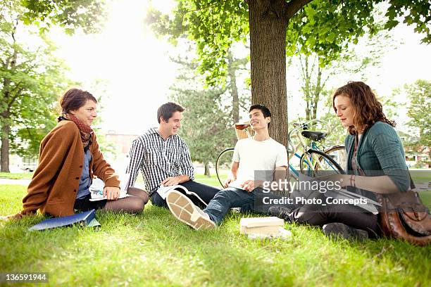 students studying in grass at park - group learning stock pictures, royalty-free photos & images