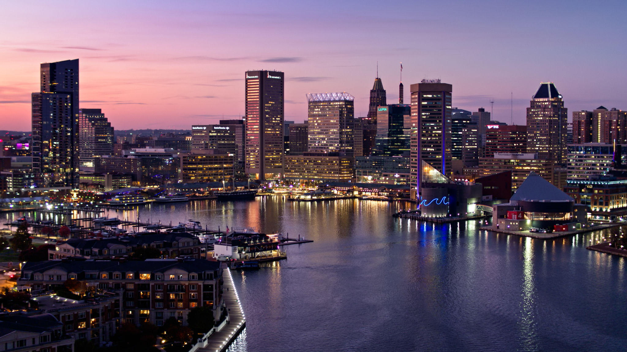 maryland skyline business