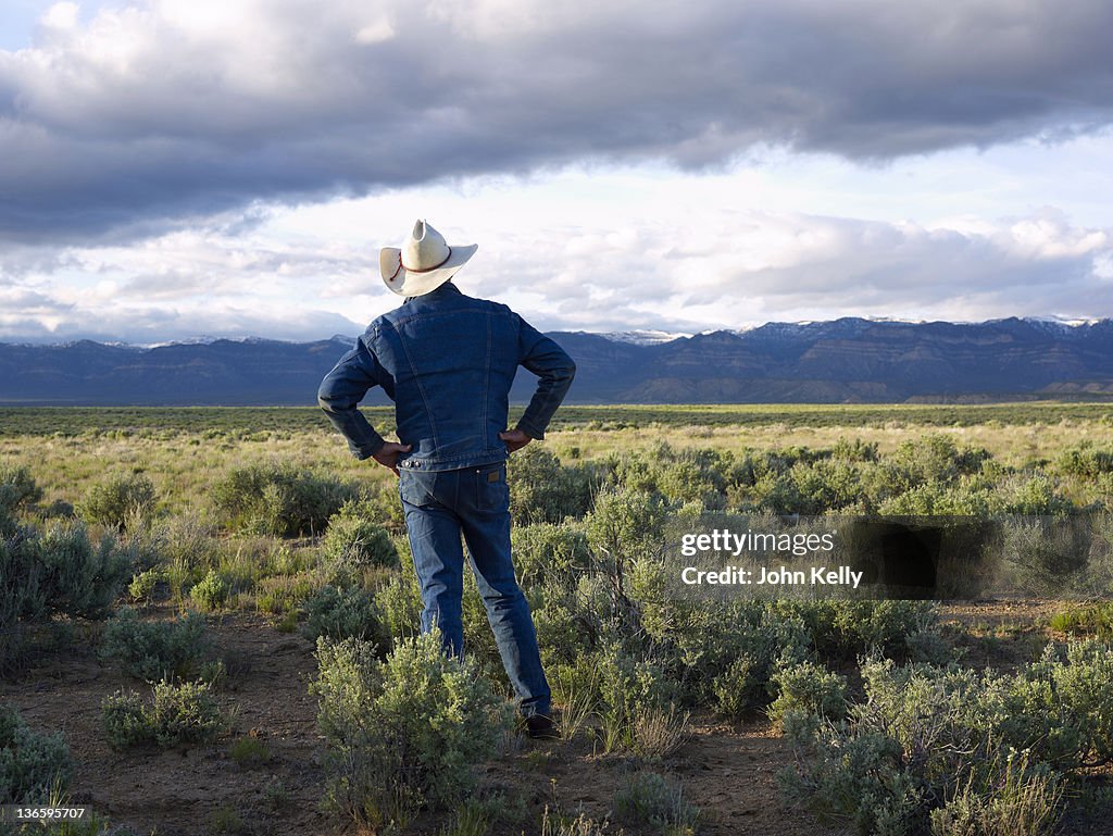 USA, Utah, Rear view of man standing in desert landscape