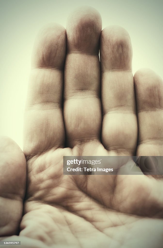 Studio shot of male hand