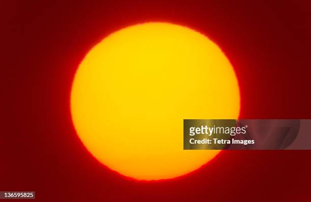 usa, new york city, close-up of large red sun - full size stock-fotos und bilder