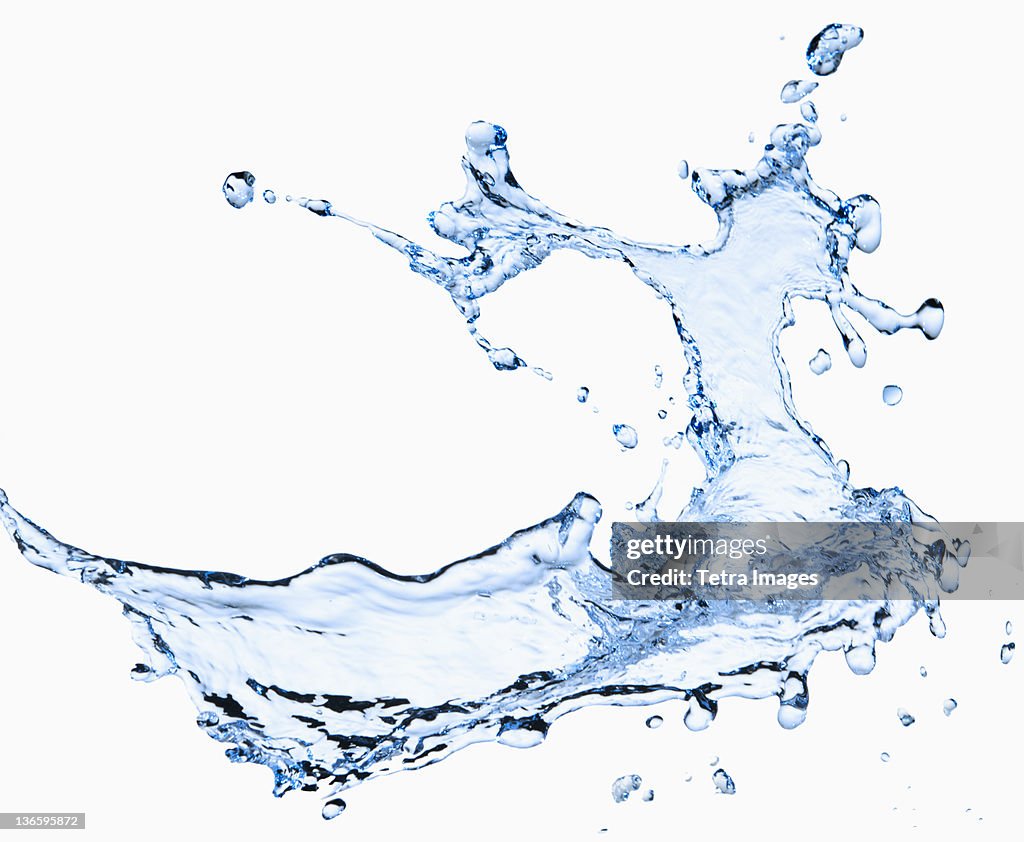 Studio shot of water splash on white background