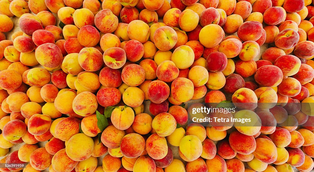 USA, New York City, Heap of peaches