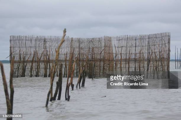 fishing trap in atlantic coastline, para state, brazil - ricardo corral stock pictures, royalty-free photos & images