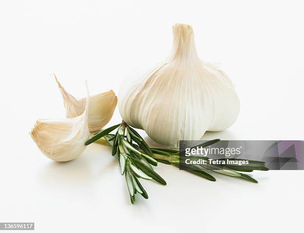 studio shot of fresh garlic and rosemary - garlic clove stock pictures, royalty-free photos & images