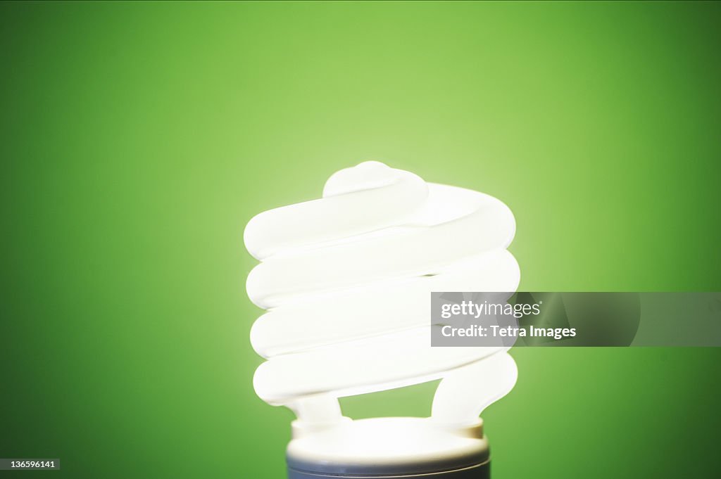 Studio shot of energy efficient lightbulb on green background