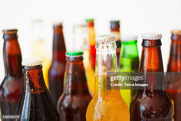 studio shot of various beer bottles - beer bottle stock pictures, royalty-free photos & images