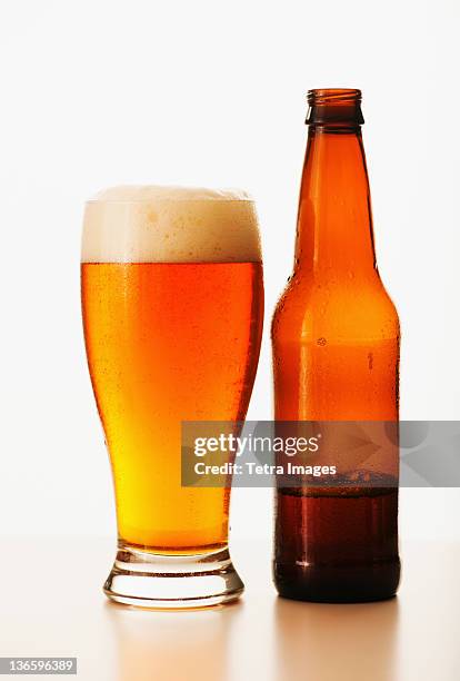 studio shot of bitter ale in bottle and glass - cerveja amarga imagens e fotografias de stock