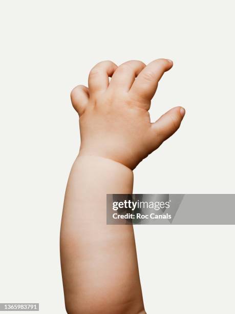 baby hand - baby on white stock-fotos und bilder