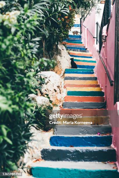 cat sitting at the beautiful colorful stairs. - animal scale foto e immagini stock