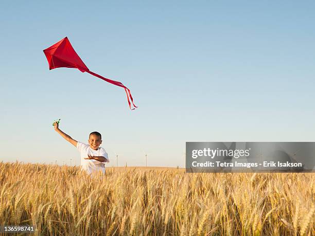 usa, oregon, wasco, boy (10-11) playing with kite in wheat field - kite flying stock pictures, royalty-free photos & images