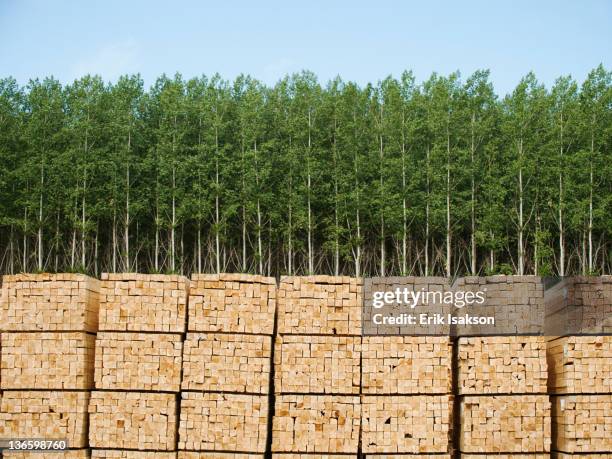 usa, oregon, boardman, orderly stacks of timber in timber plantation - propriété forestière de production photos et images de collection
