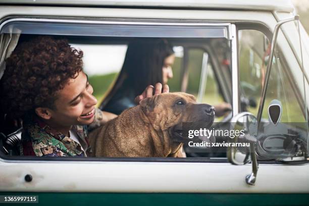 giovane coppia in viaggio con cane - shar pei foto e immagini stock