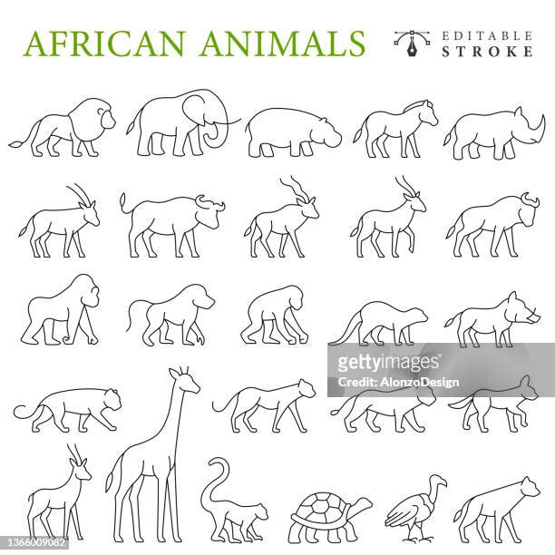 ilustrações de stock, clip art, desenhos animados e ícones de african animals line icons. editable stroke. - lion white background