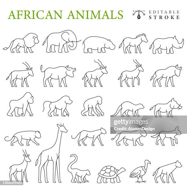 african animals line icons. editable stroke. - wild cattle stock illustrations