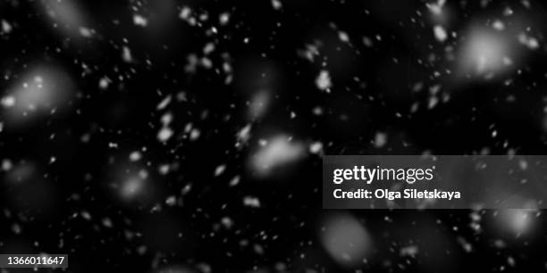 falling snow on black background - neige fraîche photos et images de collection