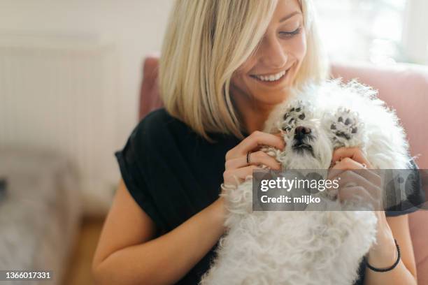 young woman spending time with her dog at home - bichon stock pictures, royalty-free photos & images