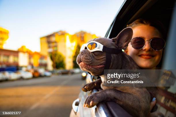 魅力的な女性、ペットの所有者は、彼女の犬に寄りかかっていますが、彼は街を探索する車の窓を通して - cool cars ストックフォトと画像