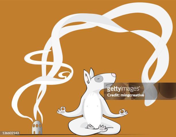 dog practising yoga - bull terrier stock illustrations