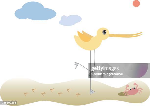 stockillustraties, clipart, cartoons en iconen met long-billed bird catching crab - steltkluut