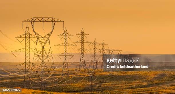 high voltage electricity pylons in desert near washington oregon border, usa - high voltage sign stock pictures, royalty-free photos & images