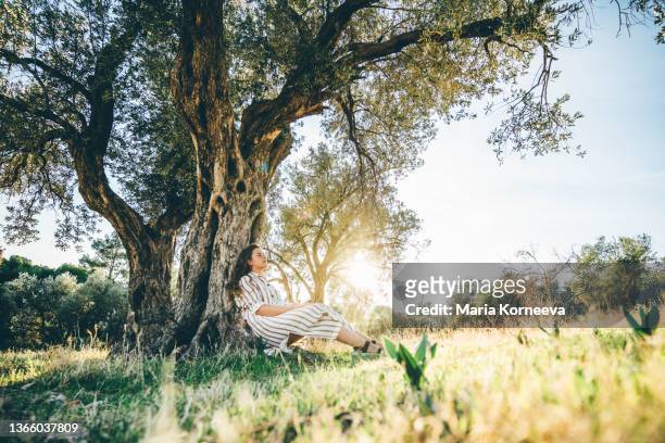 young woman tourist sits on dry yellowed grass relaxing in olive grove - big beautiful women - fotografias e filmes do acervo
