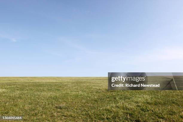 empty space - field blue sky fotografías e imágenes de stock