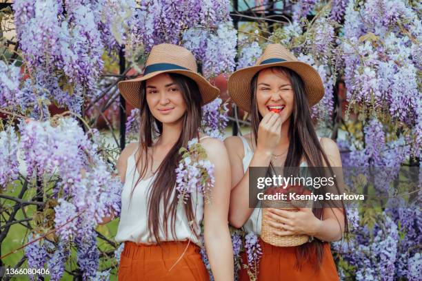 two young european twins with long dark hair in a straw hat stand against the backdrop of blooming wisteria and eat strawberries from a straw basket - strawberry blossom stock pictures, royalty-free photos & images