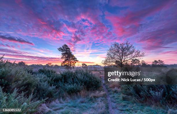 frost and contrails,scenic view of field against sky during sunset,united kingdom,uk - sunset with jet contrails stock pictures, royalty-free photos & images