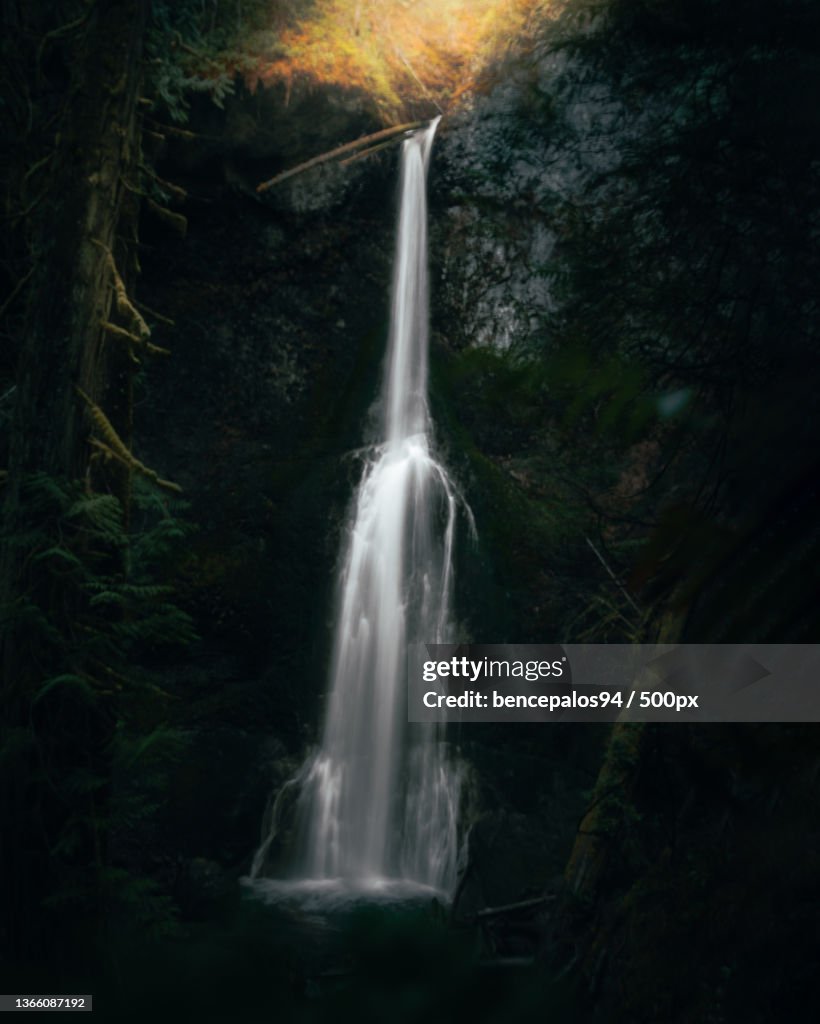 Marymere falls,Low angle view of waterfall in forest