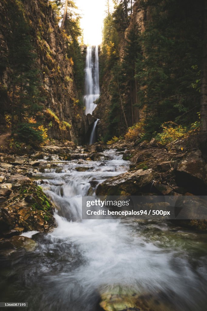 Telluride waterfall,Scenic view of waterfall in forest