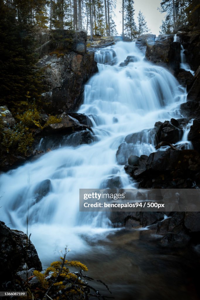 Lone Peak waterfall,Scenic view of waterfall in forest