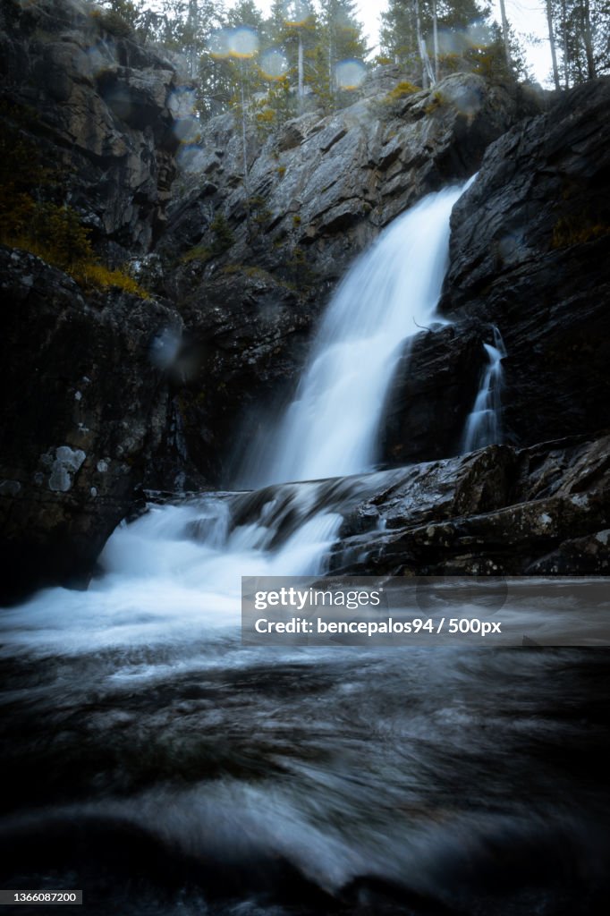 Lone Eagle waterfall,Scenic view of waterfall in forest,Colorado,United States,USA