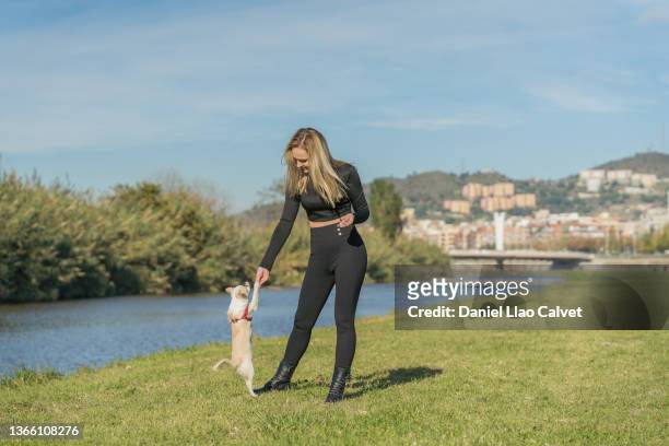 young woman enjoying nature with her little dog outdoors in a park. - sports training - fotografias e filmes do acervo