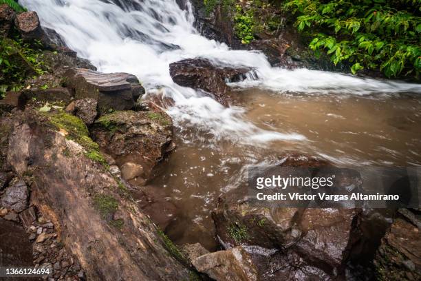 pahuma waterfall in natural reserve, ecuador. - pichincha bildbanksfoton och bilder