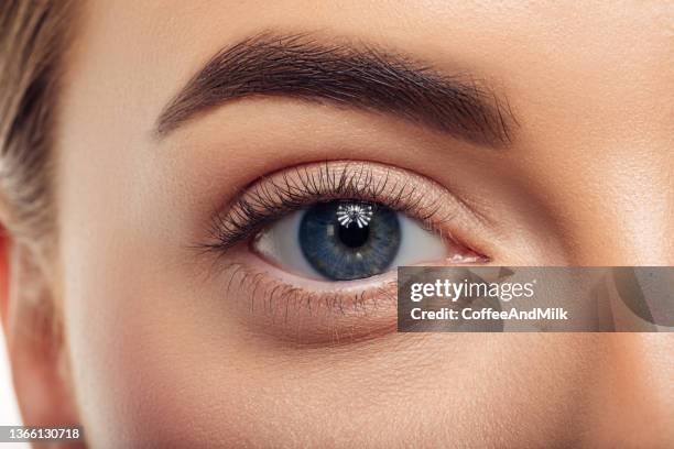 beautiful woman. close-up. soft make-up. - wimper stockfoto's en -beelden