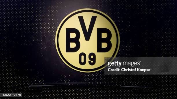 The logo of Borussia Dortmund is seen prior to the 3. Liga match between Borussia Dortmund II and SC Freiburg II at Stadion Rote Erde on January 21,...