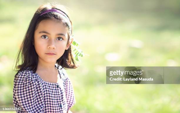 cute 6 years girl in sunshine meadow - 6 7 years stock-fotos und bilder