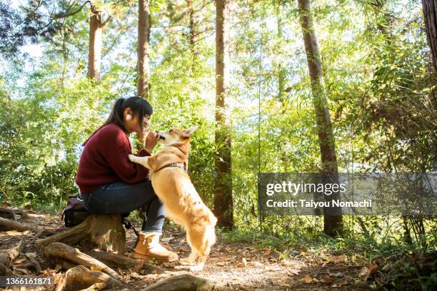 a woman playing with her pet corgi dog in the mountains - sober leven stockfoto's en -beelden