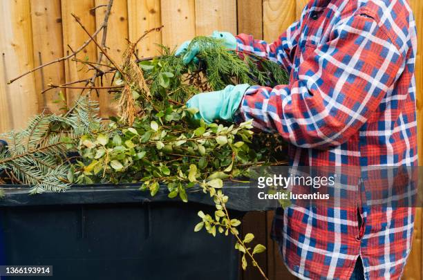 putting garden waste into bins - wheelie bin stock pictures, royalty-free photos & images