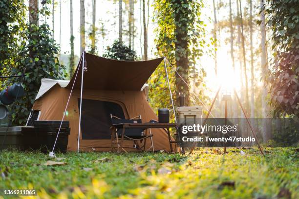 summer camp - camping fotografías e imágenes de stock