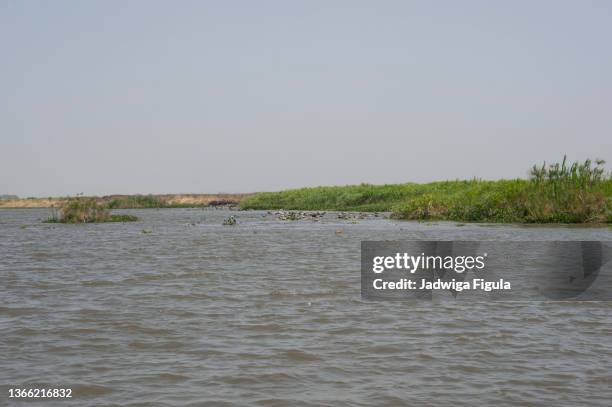 12 Suda River Stock Photos, HighRes Pictures, and Images Getty Images