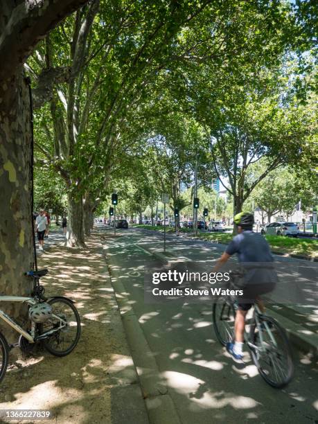 cyclist in a bicycle lane along st kilda road, southbank. - st kilda beach stock pictures, royalty-free photos & images