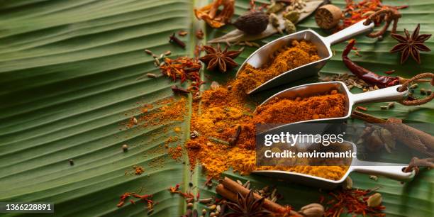 many colorful, organic, dried, vibrant indian food spices, some in metal measuring dried food scoops on a fresh banana leaf, a high angle view. - indian banana leaf stock pictures, royalty-free photos & images