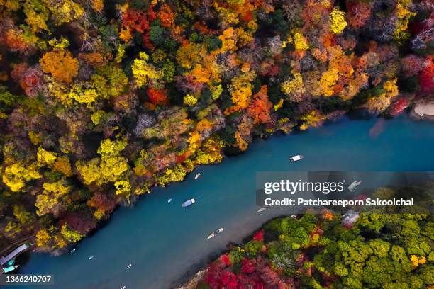 river of the town - varierande växtfärg bildbanksfoton och bilder