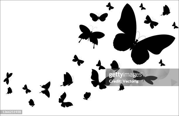 ilustraciones, imágenes clip art, dibujos animados e iconos de stock de silueta de mariposas fondo negro sobre fondo blanco - mariposa lepidópteros