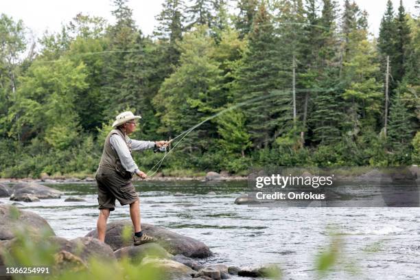 senior man fly-fishing in the river in quebec - trout fishing stock pictures, royalty-free photos & images