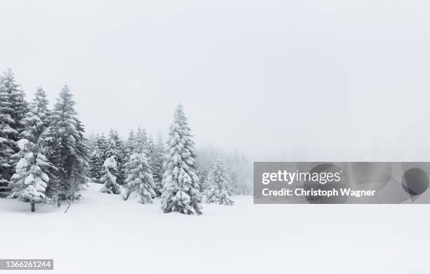 gebirgslandschaft im winter - neige épaisse photos et images de collection